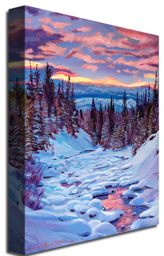 'Winter Solstice' Canvas Art by David Lloyd Glover