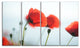 Poppies on Background of Sea, Floral Canvas Art Print, 48"x28", 4 Panels