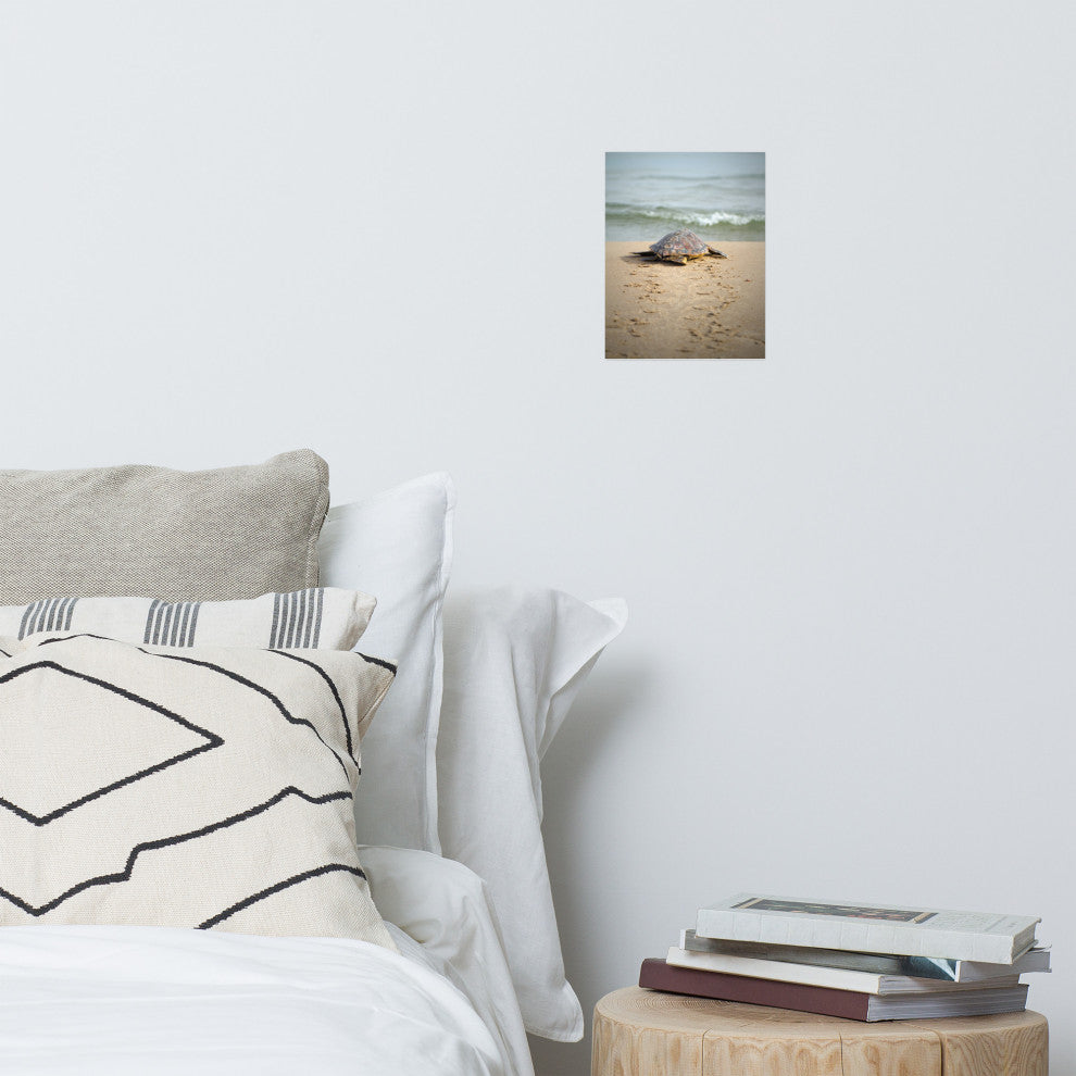 Baby Loggerhead Sea Turtle Beach Ocean Photograph Loose Wall Art Print, 8" X 10"