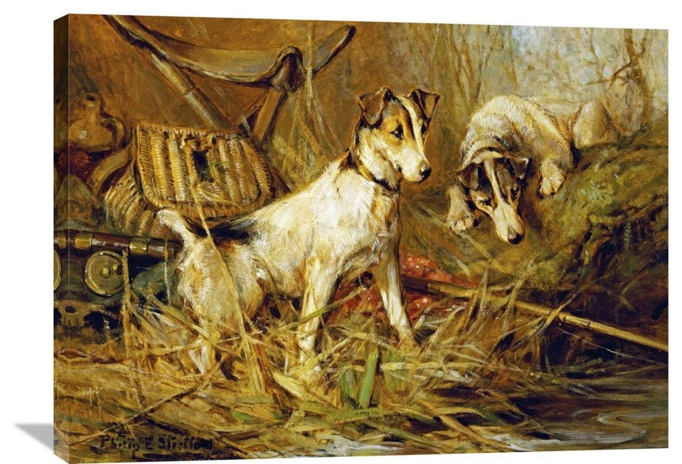 "Two Smooth-Haired Fox Terriers" Artwork, 36" x 26"