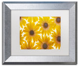 Cora Niele 'Yellow Cape Daisies' Matted Framed Art