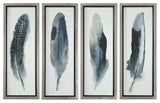 Uttermost Feathered Beauty Prints, Set of 4