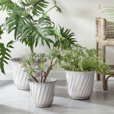 3-Piece Leilani Pot Set