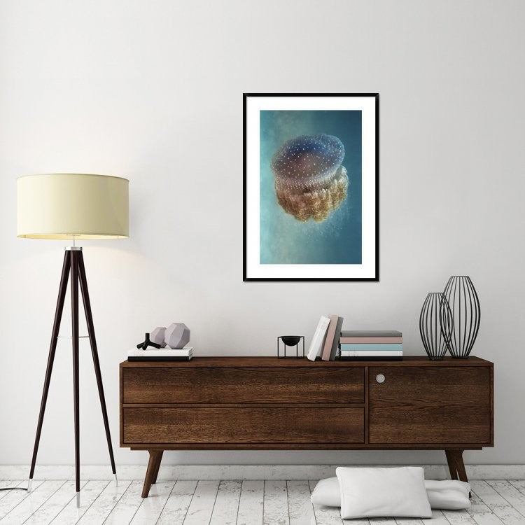 "Jellyfish Phylorhiza Punctata" Framed Digital Print by Yaron Halevy, 32x44"