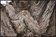Folded Limestone Layers, Kaikoura, North Canterbury, New Zealand, 36"x24"