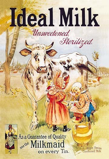 Ideal Milk: Unsweetened, Sterilized- Gallery Wrapped Canvas Art 28" x 42"