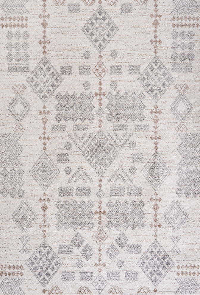 Bhalil Berber Diamond Geometric Beige/Gray 4 ft. x 6 ft. Area Rug