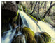 Waterfall in Forest on Rocks, Seashore Triptych Canvas Print, 36x28, 3 Panels