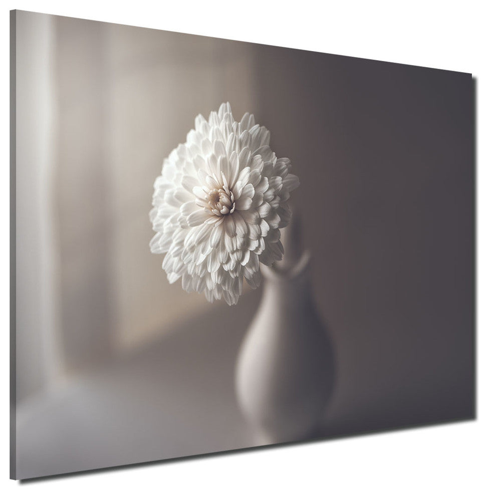 Indoor/Outdoor Wall Decor 'Window Light' in ArtPlexi, 30"x4