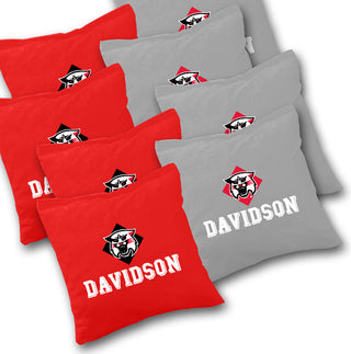 Davidson Slanted Cornhole Set