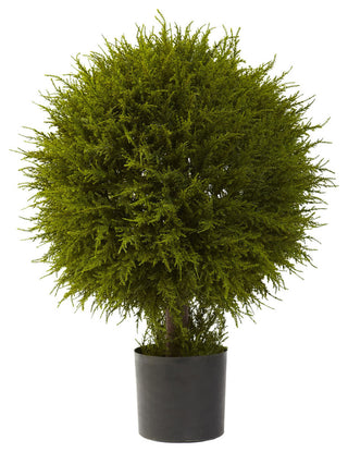 32" Cedar Ball Topiary