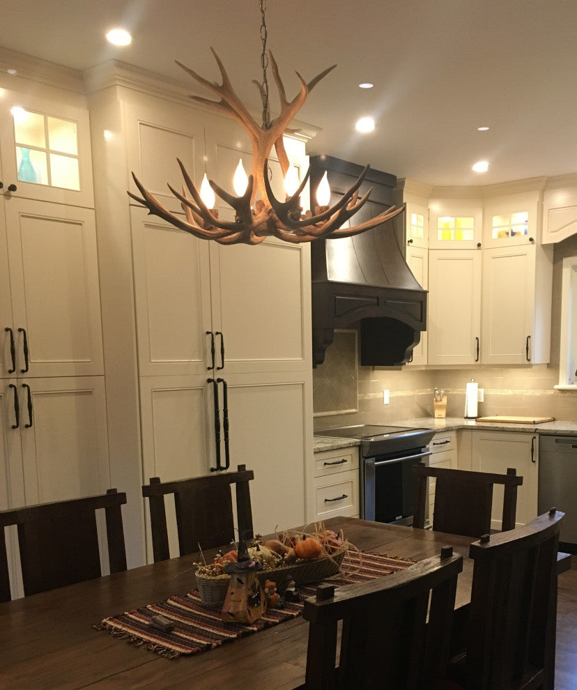 Mule Deer Single Tier Antler Chandelier Light, Medium, No Shades