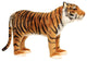 Tiger Foot Stool, Seat