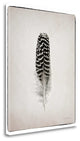 "Feather I Bw" By Debra Van Swearingen, Giclee Print on Gallery Wrap Canvas