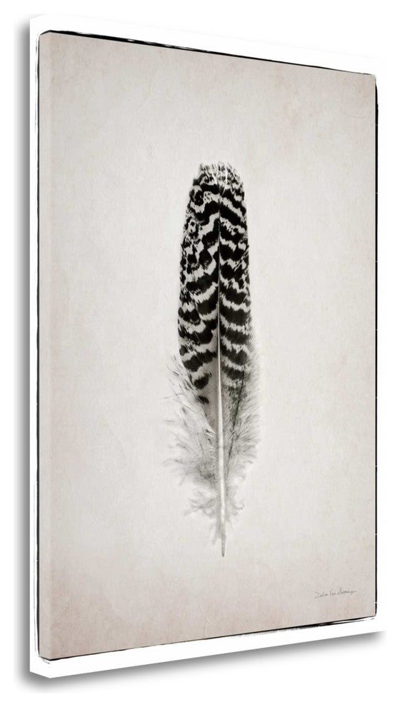"Feather I Bw" By Debra Van Swearingen, Giclee Print on Gallery Wrap Canvas