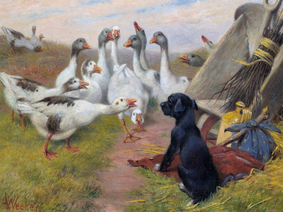 Tile Mural Dog and Duck On Guard By Herbert William Weekes, 6"x8", Matte