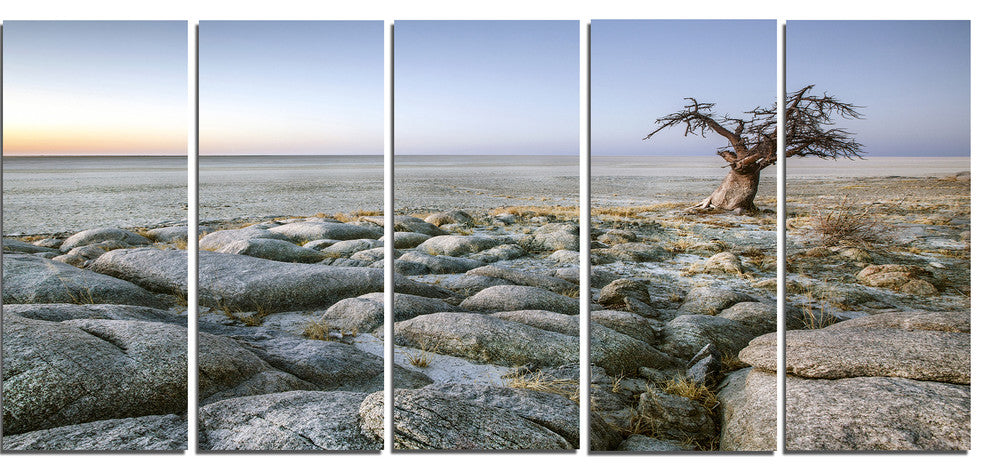Baobab Tree on Rocky Terrain, Large Landscape Canvas Art, 60"x28", 5 Panels