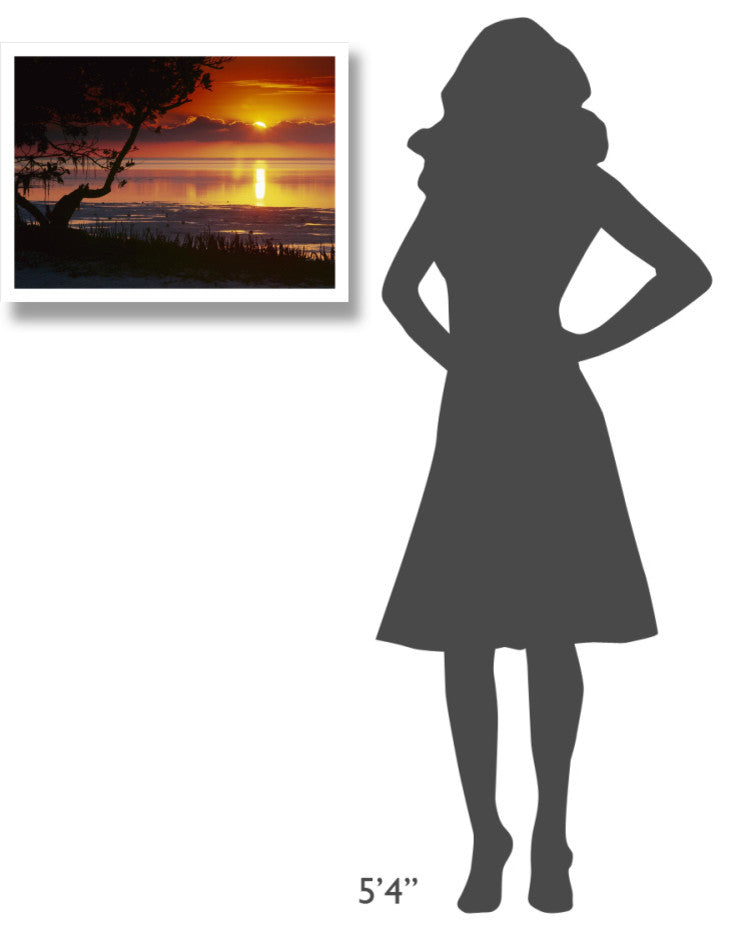 "Sunset over Anne's Beach, Florida" Paper Print by Tim Fitzharris, 26"x20"