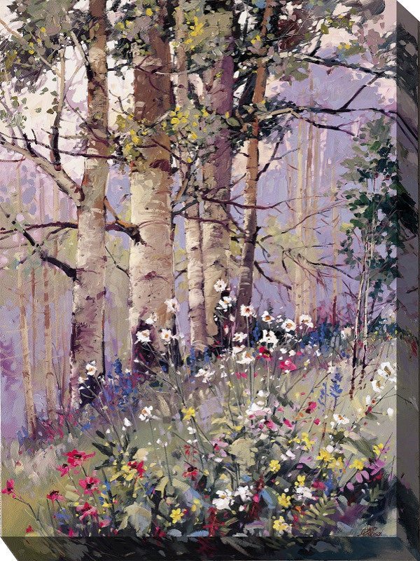Aspen Spring