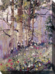 Aspen Spring