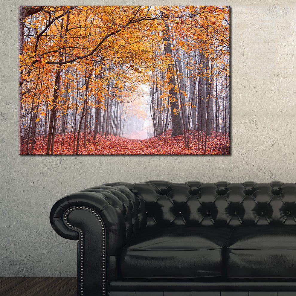 "Beautiful Trees With Fallen Leaves" Landscape Canvas Photo Print, 40"x30"