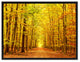 Autumn Road Yellow Landscape Photo Print on Canvas with Picture Frame, 22"x29"