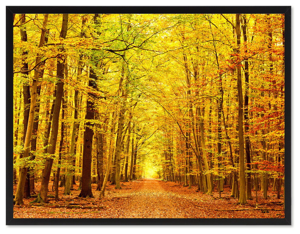 Autumn Road Yellow Landscape Photo Print on Canvas with Picture Frame, 22"x29"