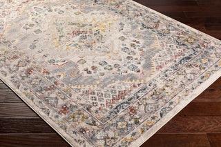 Ankara AKR-2301 Rug, Taupe, 5'3"x7'3"