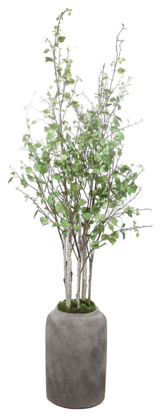 River Birch Tree Branches Potted Concrete Planter Minimalist Floor