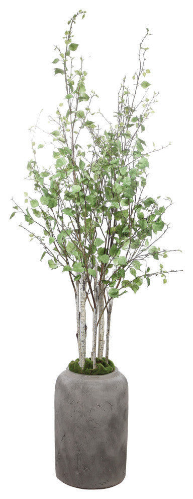 River Birch Tree Branches Potted Concrete Planter Minimalist Floor