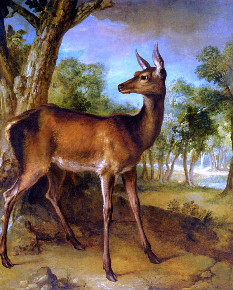 Jean-Baptiste Oudry The Watchful Doe - 20" x 25" Premium Canvas Print