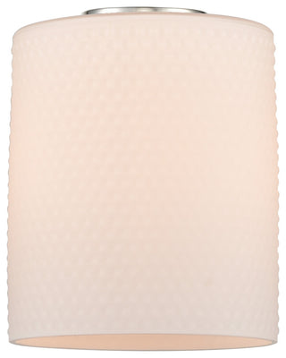 Edison Cobbleskill 23" Bath Vanity Light, Brushed Satin Nickel, Matte White