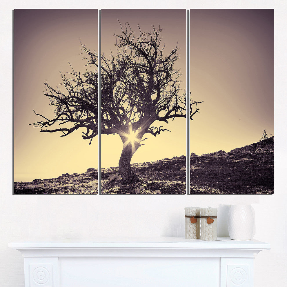 "Lonely Gray Tree in Mountain" Metal Landscape, 3 Panels, 36"x28"