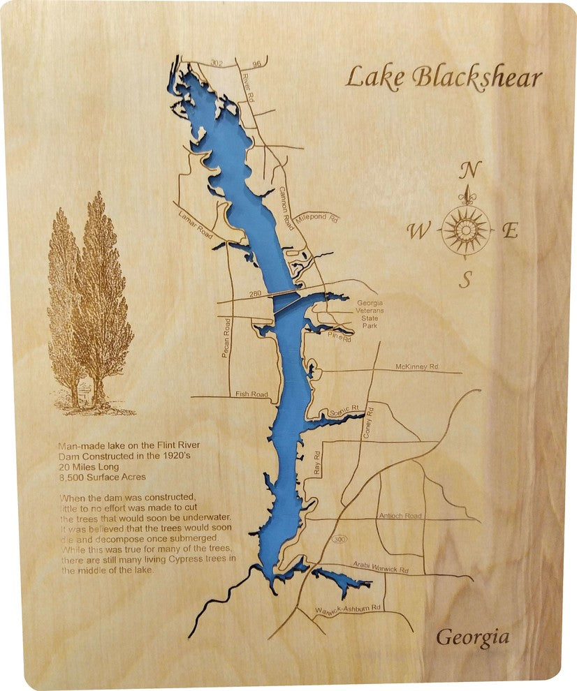 Lake Blackshear, Georgia-Wood Lake Map, Small Standout