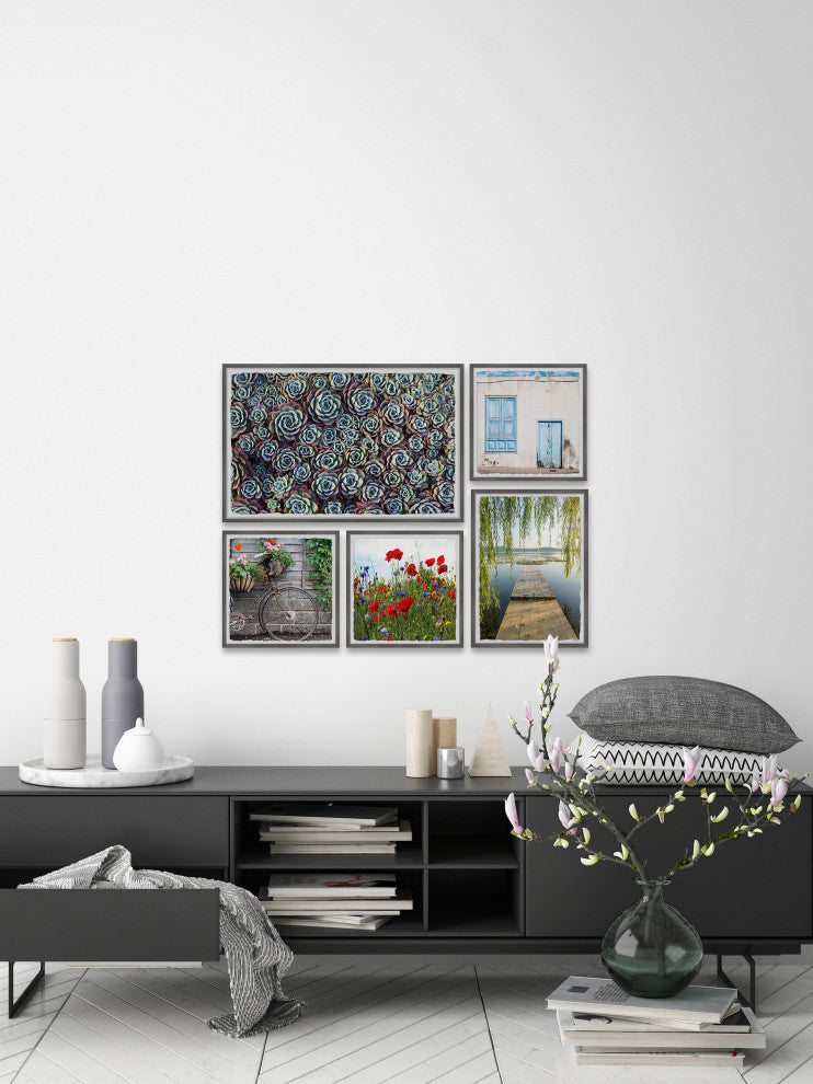 Lush Succulents Pentaptych, 5-Piece Set