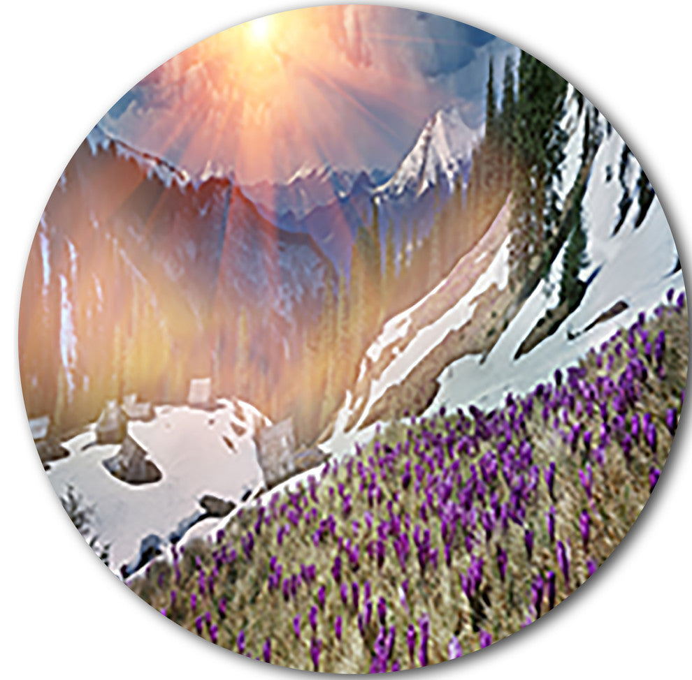 Crocus Flowers In Carpathians, Landscape Photo Disc Metal Artwork, 38"
