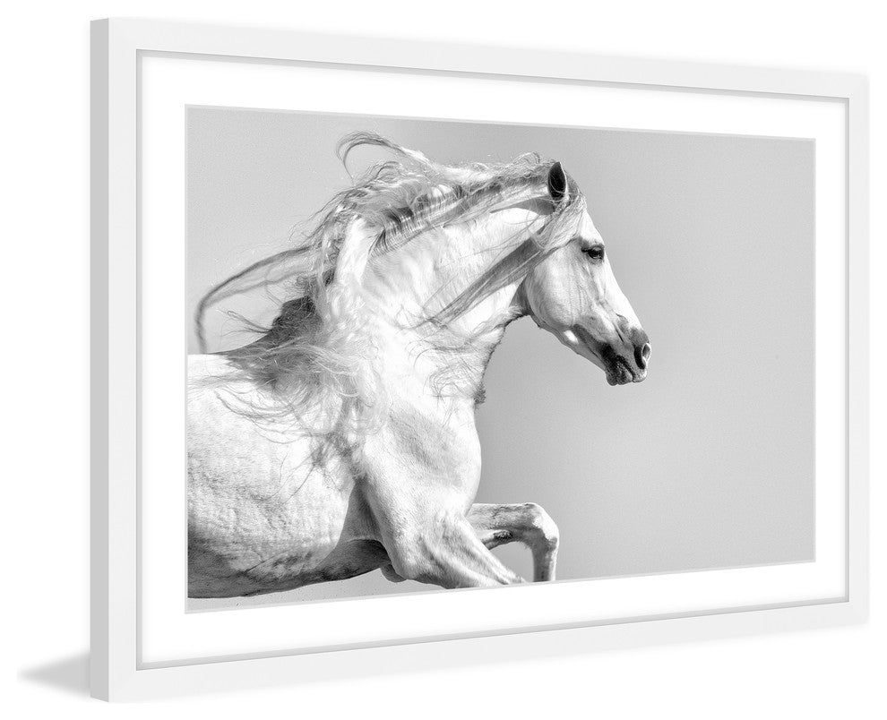 "White Mane" Framed Painting Print, 24x16