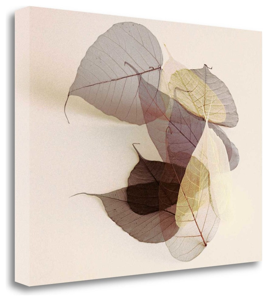 "Sauvignon Blanc" By Durwood Zedd, Giclee Print on Gallery Wrap Canvas