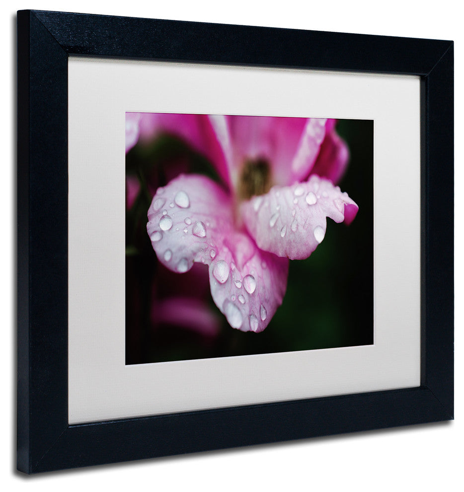 PIPA Fine Art 'Raindrops on Wild Rose Color' Matted Framed Art, 14x11