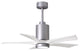 Matthews Fan Patricia-5 With Kit, Brushed Nickel, 42", Matte White
