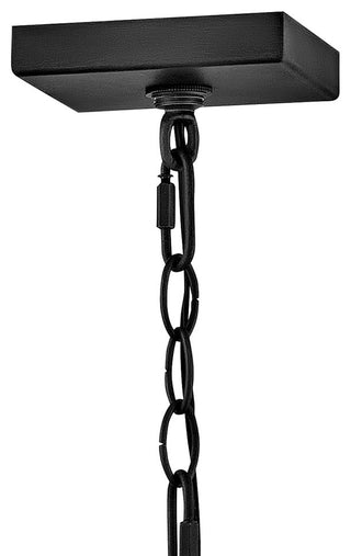 Hinkley Georgetown Large Hanging Lantern, Black