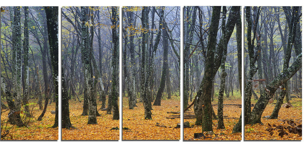 Dark Woods in Autumn Forest, Modern Forest Canvas Art, 60"x28", 5 Panels
