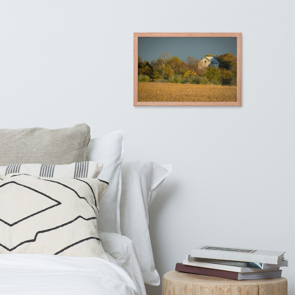 Abandoned Barn In The Trees Framed Photo Paper Wall Art Prints, Red Oak, 12" X 18"