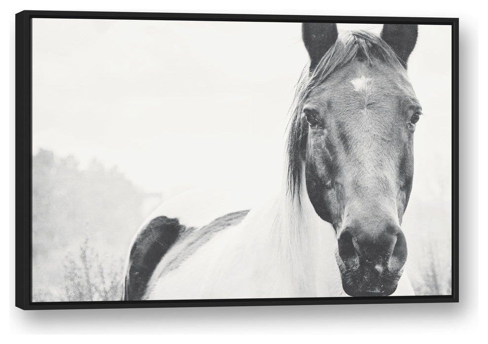 Black and White Lone Horse 32x48 Black Floating Framed Canvas