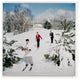 Skiing Waiters By Slim Aarons