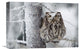 "Western Screech Owl Perching In A Tree, British Columbia, Canada" Artwork