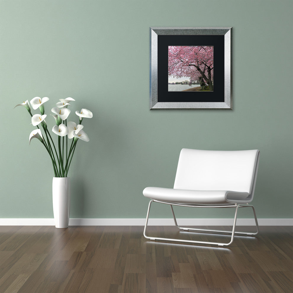 CATeyes ''Tidal Basin Blossoms'' Matted Framed Art, 11x11