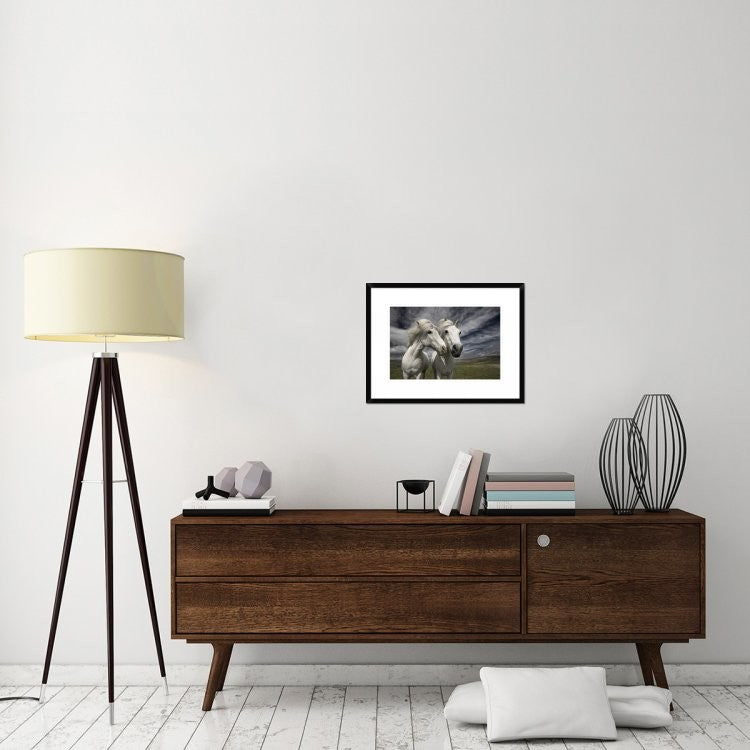 "Inseparables" Framed Digital Print by Bragi Ingibergsson, 26"x20"