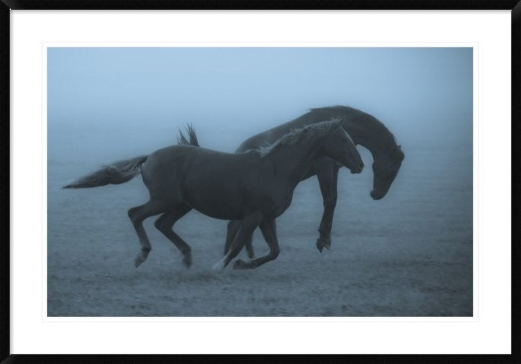 "Horses In The Fog" Framed Digital Print by Allan Wallberg, 44x30"