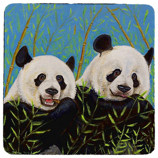 Pandas Coaster - 3 Sets of 4 (12 Total)
